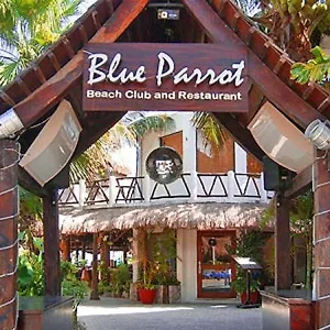 4* Hotel Blue Parrot